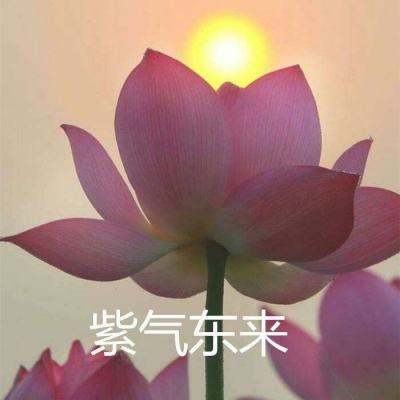 一品皇妃手游最新版下载